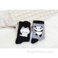 Black Cat Spring Cotton Socks